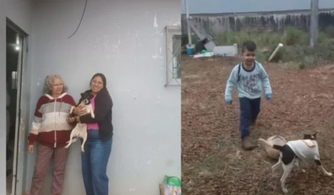 Avião em Vinhedo: família retornava à Venezuela com cachorrinha