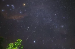 Chuvas de Meteoro: Saiba como assistir ao espetáculo das Perseidas no AM