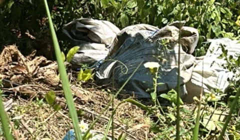 Corpo de homem é encontrado em área de mata no Puraquequara, em Manaus