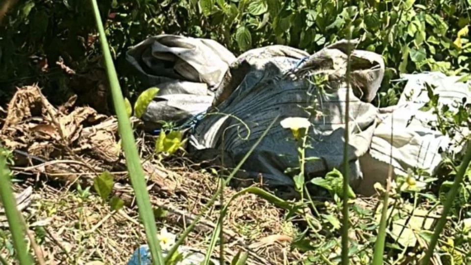 Corpo de homem é encontrado em área de mata no Puraquequara, em Manaus