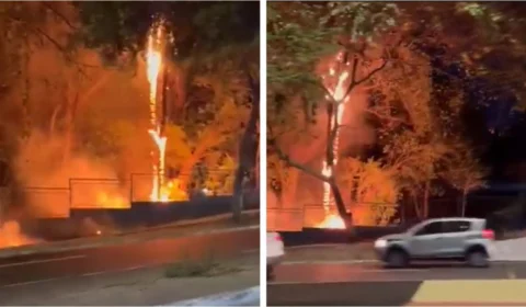 Incêndio atinge área do Parque do Idoso em Manaus; assista