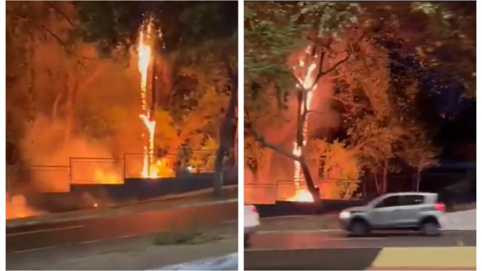 Incêndio atinge área do Parque do Idoso em Manaus; assista