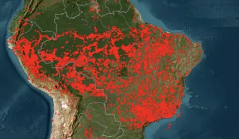 São Paulo supera Amazônia e registra mais focos de incêndio