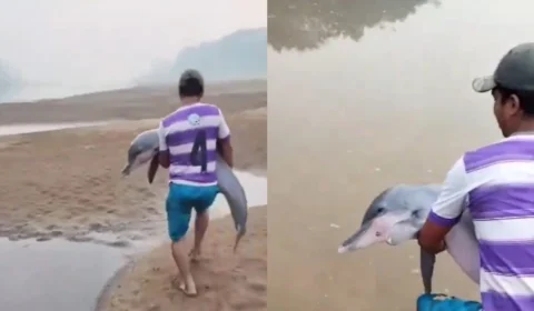Ribeirinho salva boto encalhado em meio à seca na Amazônia; vídeo