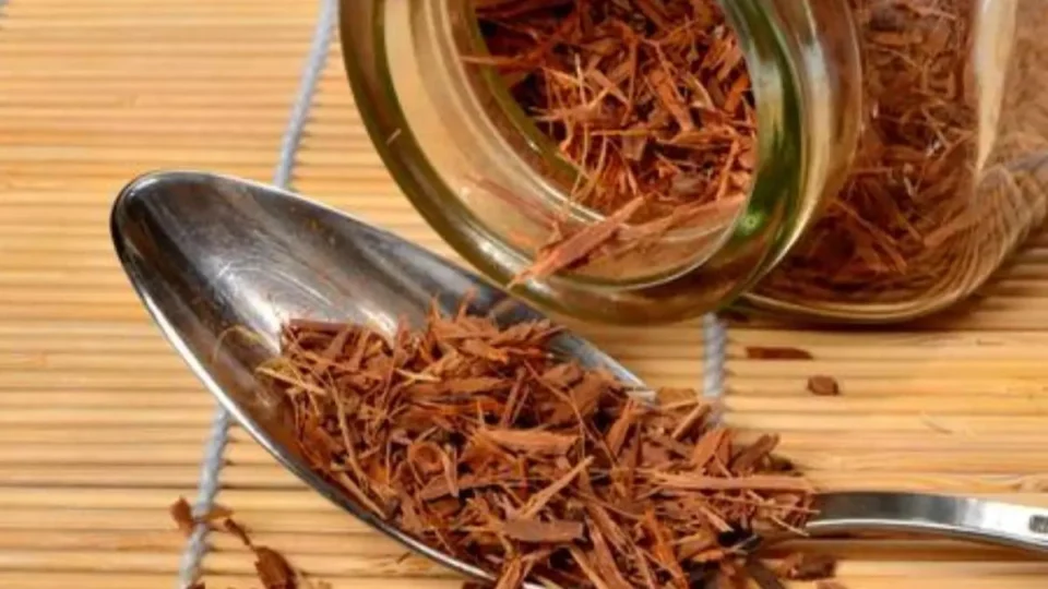 Catuaba: conheça o chá afrodisíaco e seus benefícios