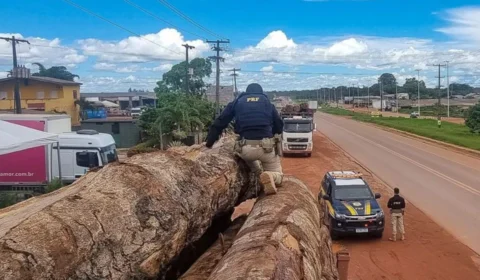 Exploração de madeira aumenta 584% em dois anos em Roraima
