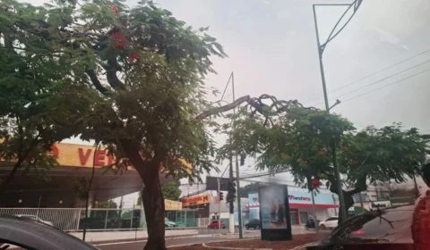 Previsão do tempo: Confira o clima para esta terça (13) em Manaus