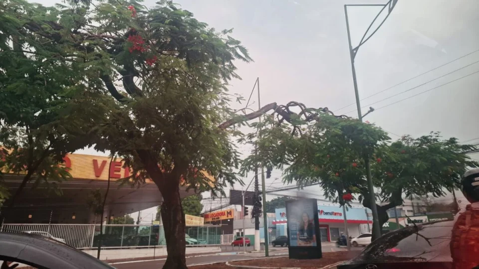 Previsão do tempo: Confira o clima para esta terça (13) em Manaus