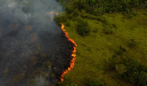 Dia da Amazônia: queimadas e seca agravam crise ambiental