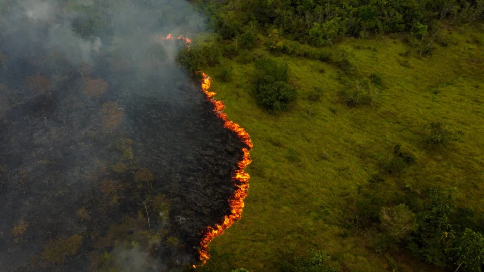 Dia da Amazônia: queimadas e seca agravam crise ambiental
