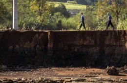 Produtores rurais do RS têm dívidas prorrogadas