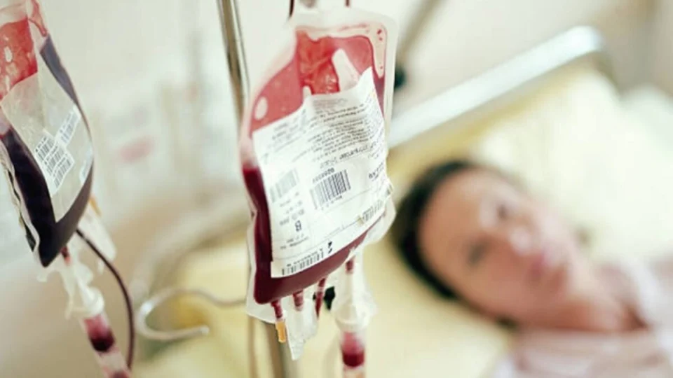 STF decide que testemunhas de Jeová podem negar transfusão de sangue