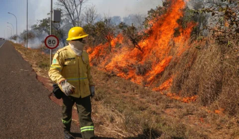 Incêndios e clima de deserto castigam o Distrito Federal 