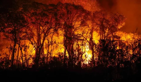 Em meio a queimadas, Amazônia se torna o maior emissor de gases de efeito estufa do mundo