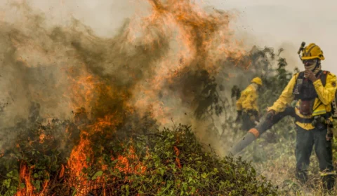 Incêndios na Amazônia: Governo vai focar ações em 21 municípios