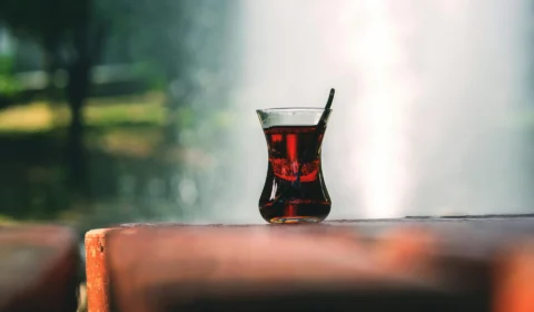 Chá de Cipó Tuíra: você conhece os benefícios?