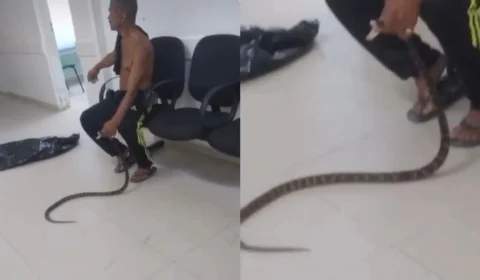 Homem leva cobra a UPA após ser picado no litoral de SP