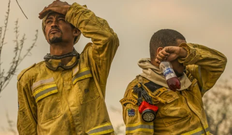 Combate aos Incêndios: Confira o número de brigadistas por estado