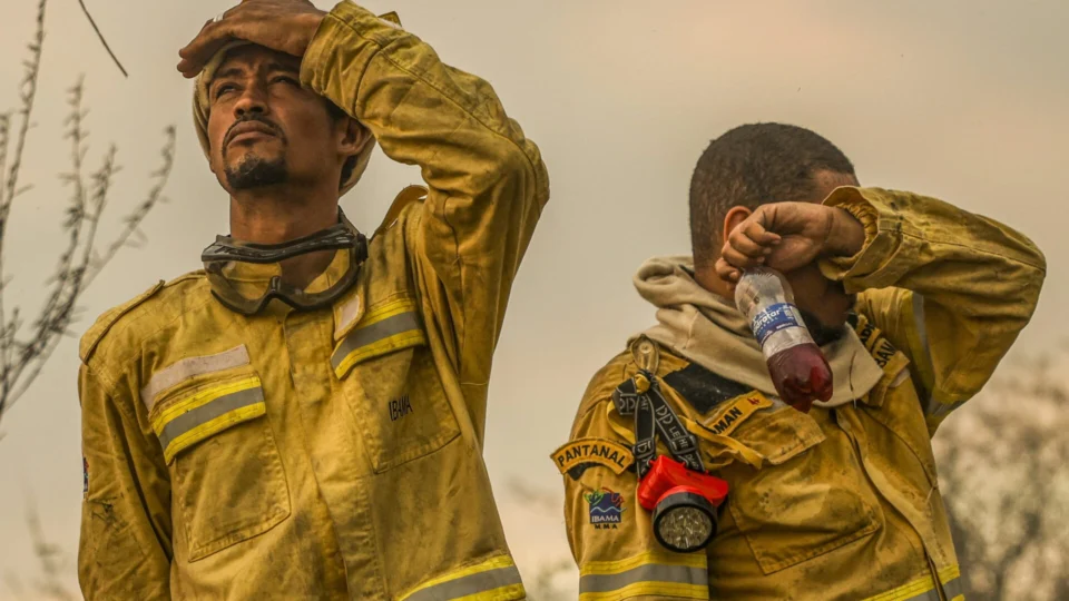 Combate aos Incêndios: Confira o número de brigadistas por estado