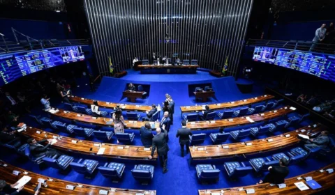 Cotas raciais: Senado aprova novas regras para candidaturas