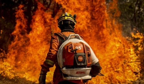 Governo atualiza situação dos incêndios no Brasil