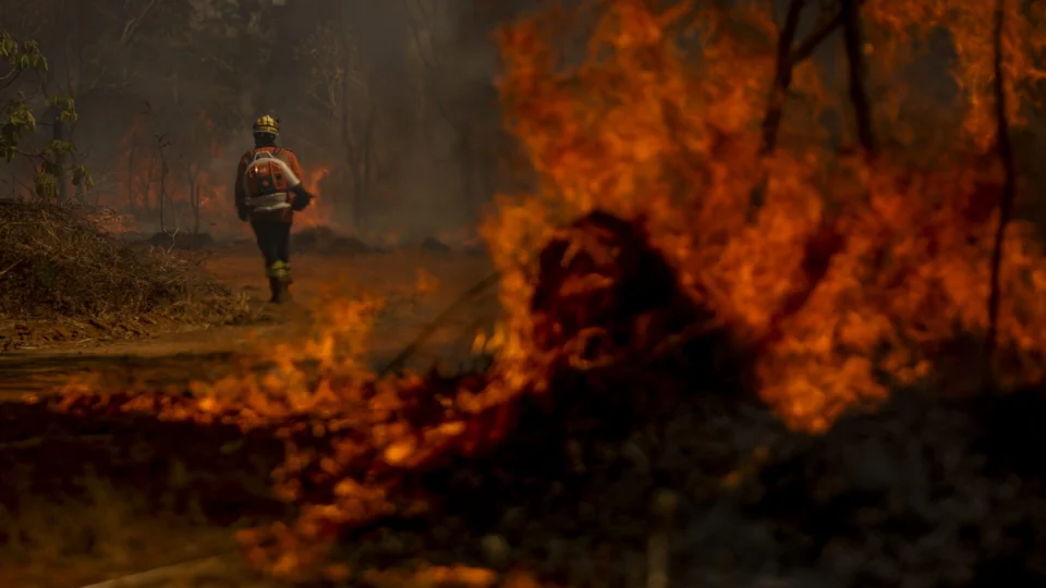 Pena para responsáveis por incêndios florestais pode aumentar