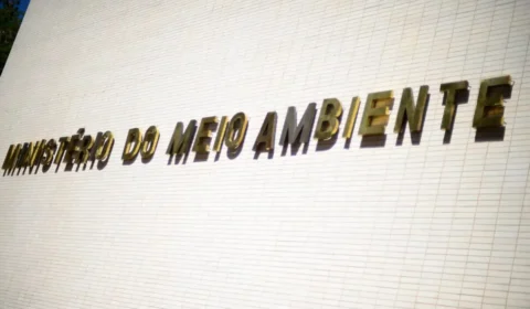 Governo fecha acordo com servidores federais ambientais