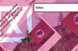 Projeto Comprova: postagem que liga MST a queimadas no Brasil é falsa