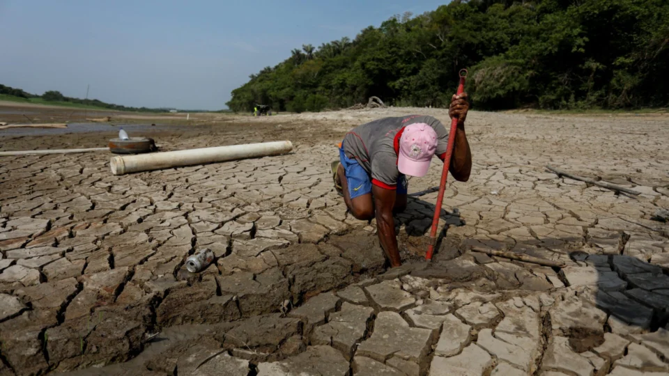 Seca deixa todos os 62 municípios do Amazonas em emergência