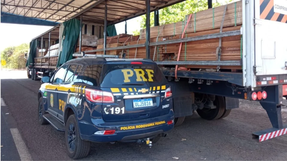 Transporte ilegal de madeira é interceptado pela PRF no TO