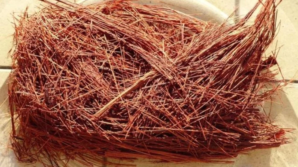 Chá de Uxi-Amarelo: saiba para que serve e aprenda a fazer