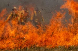 MP que facilita repasses de recursos para combate a incêndios já está no Congresso 