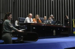 Combate a incêndios: Ibama defende criação de linhas de crédito para aviões