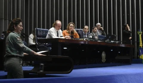 Combate a incêndios: Ibama defende criação de linhas de crédito para aviões