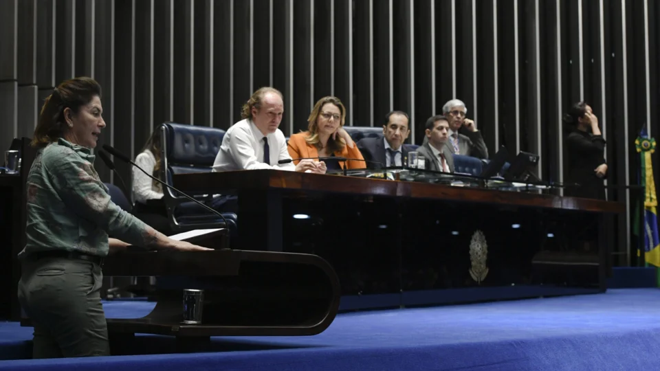 Combate a incêndios: Ibama defende criação de linhas de crédito para aviões