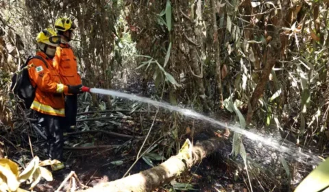 Parque de Brasília: Fogo controlado, trabalho não acabou