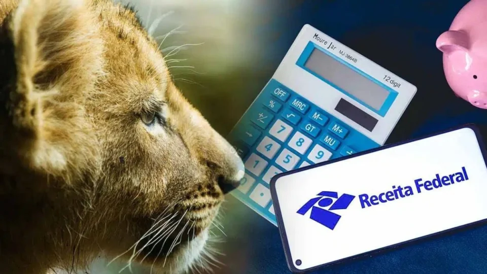 Imposto de Renda: lote de restituição da malha fina é pago hoje (31); veja quem recebe