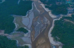 Seca no AM: Rio Negro desce mais de cinco metros em menos de um mês; veja