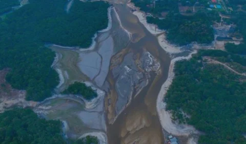 Seca no AM: Rio Negro desce mais de cinco metros em menos de um mês; veja