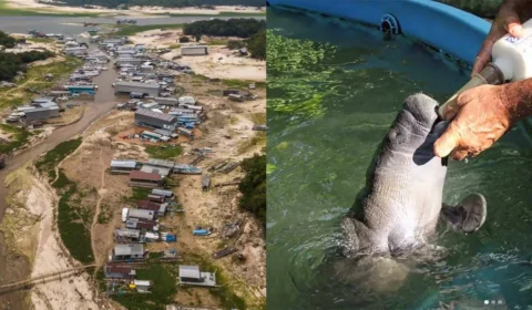 Seca de rios favorece a atividade ilegal de caça e pesca na Amazônia; entenda