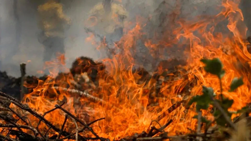 Suspeitas de crime em meio a incêndios recordes no Brasil