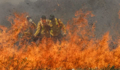 Incêndios no Cerrado superam Amazônia em focos de fogo