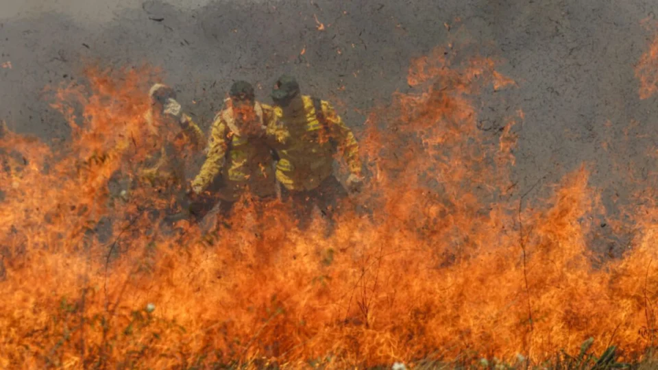 Incêndios no Cerrado superam Amazônia em focos de fogo
