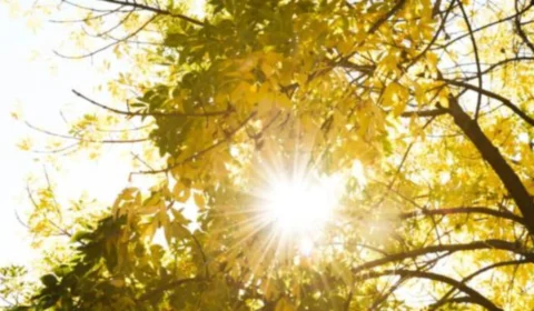 Calor e clima seco predominam em Brasília nesta quinta (26)