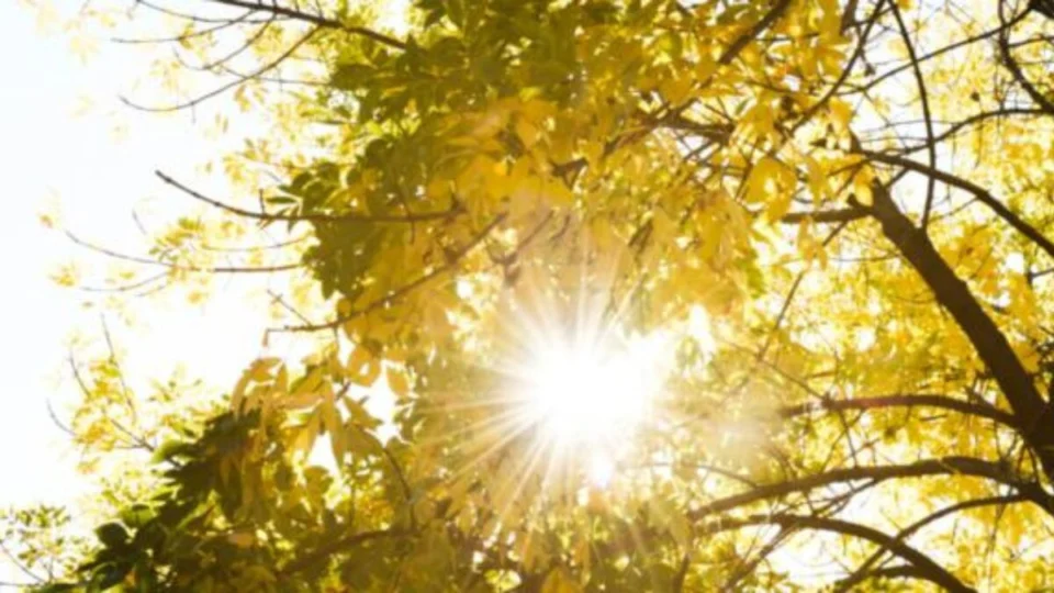 Calor e clima seco predominam em Brasília nesta quinta (26)