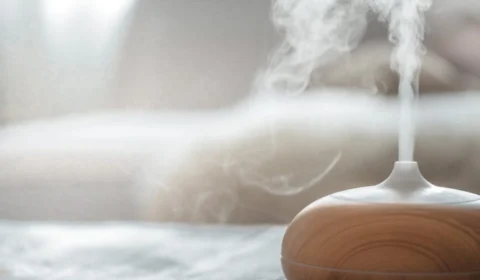 Devo comprar um umidificador de ar? Saiba quando é necessário