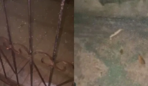 Inusitado: Interior do AM tem chuva de granizo durante seca e recordes de calor