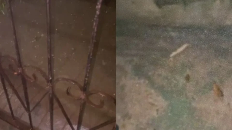 Inusitado: Interior do AM tem chuva de granizo durante seca e recordes de calor