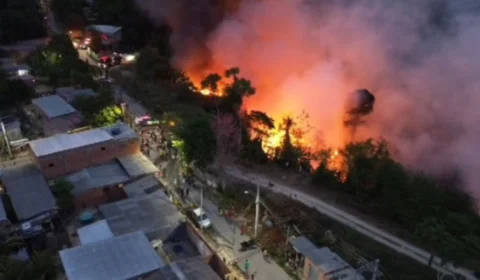 Veja vídeos do incêndio que atingiu área de mata no Coliseu, em Manaus