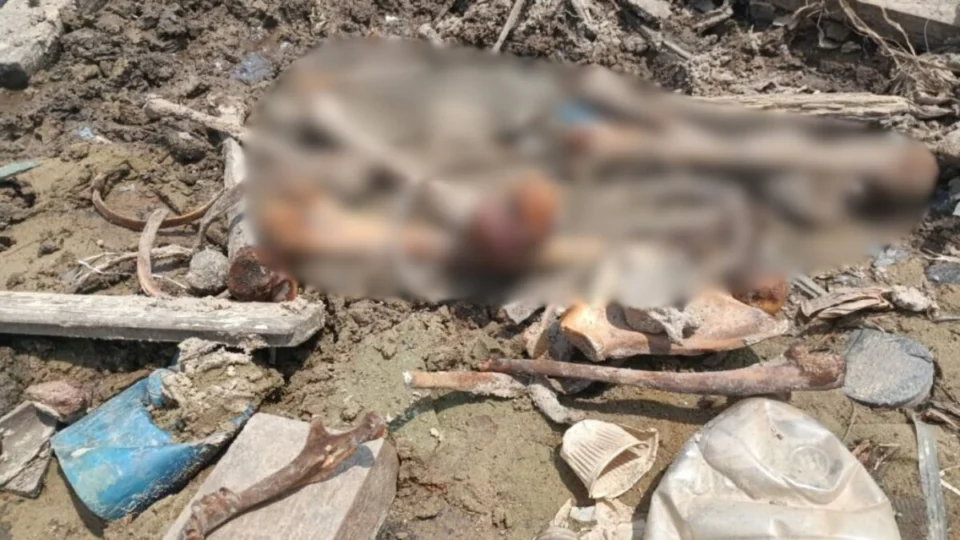 VÍDEO: ossada humana é encontrada na Feira da Panair em Manaus